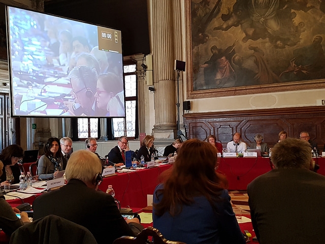 Chair of the Congress Monitoring Committee addresses the Venice Commission on the Situation in Turkey