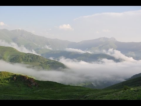 Ditavan