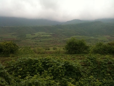 Ditavan