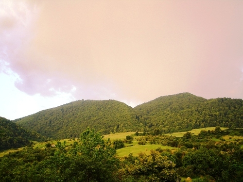 Ծաղկավան