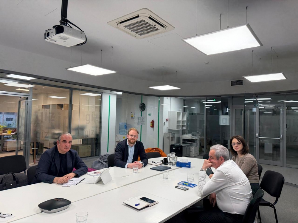 Հանդիպում GIZ-ում 