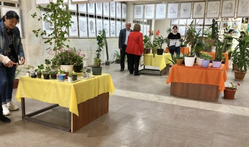 Exhibition-festival of indoor and decorative plants in Sevan city